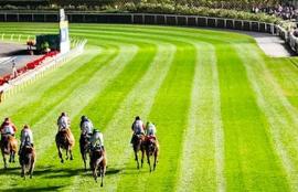 Moonee Valley Racing Tips
