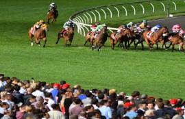 Moonee Valley Tips