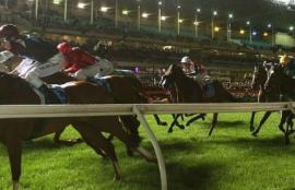 Mooney Valley Betting Tips