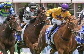 Moonee Valley Racing Tips Saturday August 1st