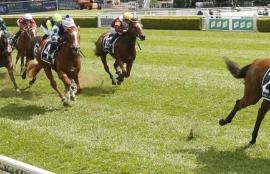 Mooney Valley Betting Tips