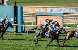 Mornington Racing Tips