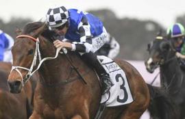 Rosehill Racing Tips Saturday August 29th