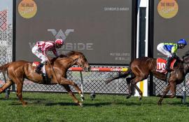Moonee Valley Racing Tips Saturday September 5th