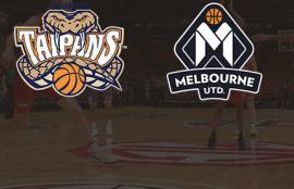 NBL Taipans vs United Betting Tips