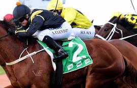 Rosehill Racing Tips