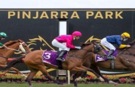 Pinjarra Racing Tips