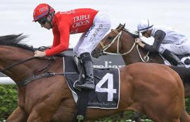 Randwick Racing Tips 2020 Winx Stakes Day