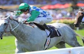 Cox Plate Betting Tips