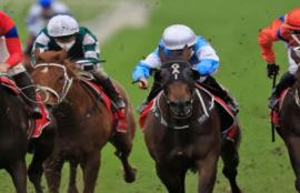 Horse Racing Tips Saturday