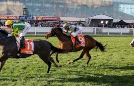 Randwick Betting Tips