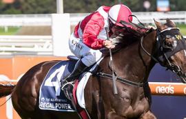 Real Power All Star Mile