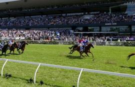 Horse Racing Betting Tips