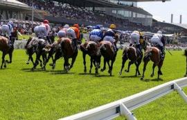 Rosehill Racing Tips