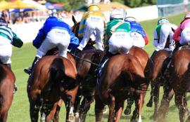 Australian Horse Racing Tips Thursday August 20th