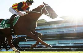 Royal Ascot Nature Strip