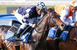 2020 Makybe Diva Stakes Preview & Betting Tips