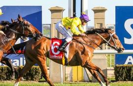 Australian Horse Racing Tips Sunday August 30th