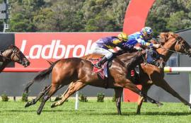 Sandown Racing Tips
