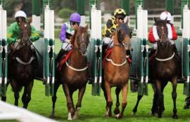 Sandown Racing Tips