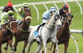 Sandown Lakeside Racing Tips Wednesday August 19th