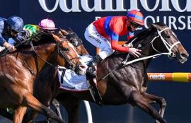 Saturday Horse Racing July 10th