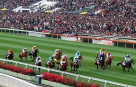 Sha Tin Racing Tips