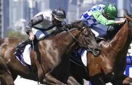 Flemington Racing Tips Saturday August 8th