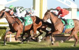 Australian Horse Racing Tips Sunday August 23rd