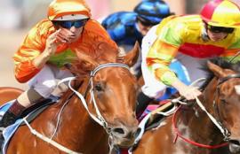 Horse Racing Tips