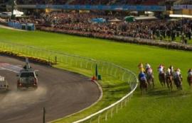 Mooney Valley Betting Tips
