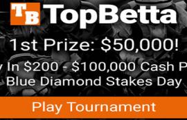 Horse Racing Tournament