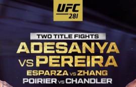 UFC 281 Betting Tips