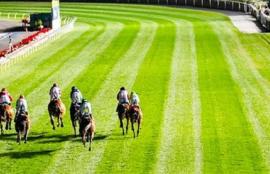 Friday Night Horse Racing Tips