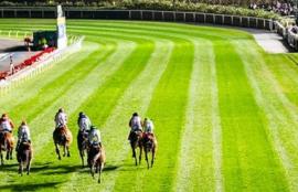 Moonee Valley November 12th