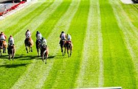 Moonee Valley Racing Tips