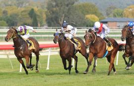 Wagga Racing Tips