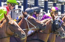 Warrnambool Racing Tips