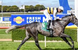 Warrnambool Racing Tips
