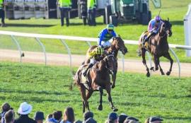 Warrnambool Racing Tips