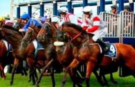 Wednesday Racing Tips