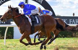 Warwick Farm Racing Tips Wednesday September 2nd