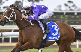 Warwick Farm Racing Tips Wednesday September 16th
