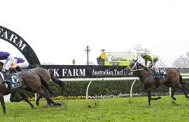 Warwick Farm Racing Tips Wednesday July 29th