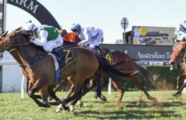 Warwick Farm Racing Tips