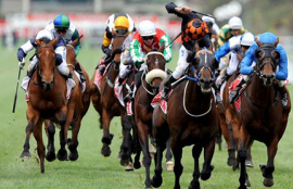 Horse Racing Tips