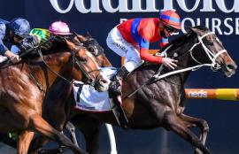 Wednesday Racing Tips