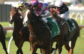 Wednesday Racing Tips