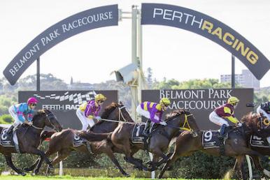 Horse Racing Tips