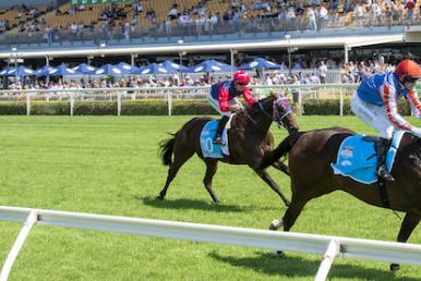 Doomben Racing Tips